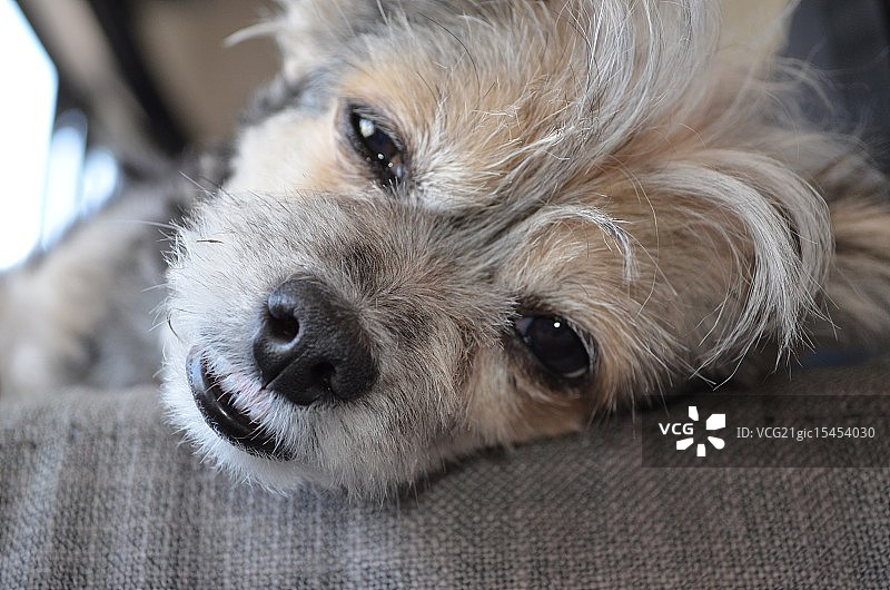 夏日将至图片素材