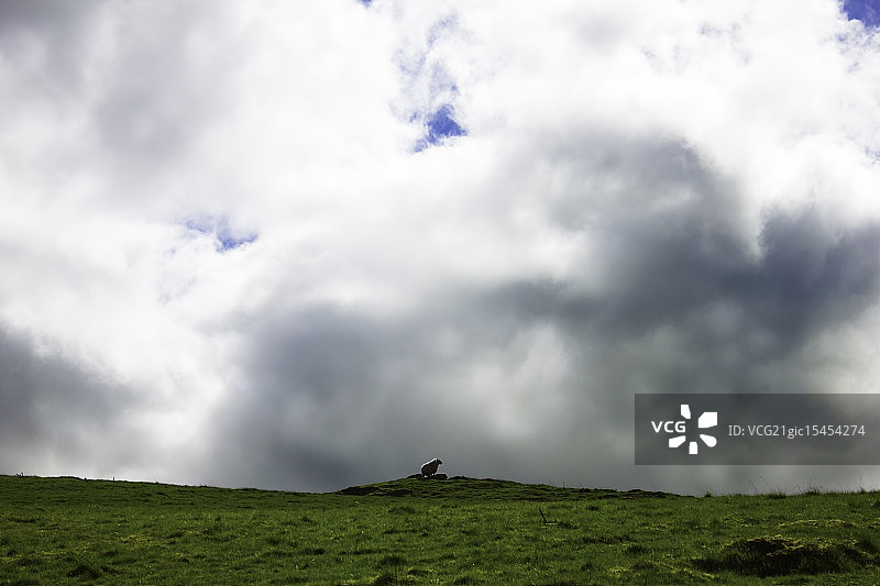 云中的孤独公羊图片素材