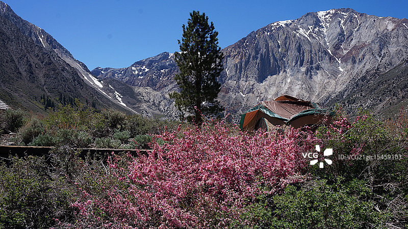 康维克特湖露营图片素材