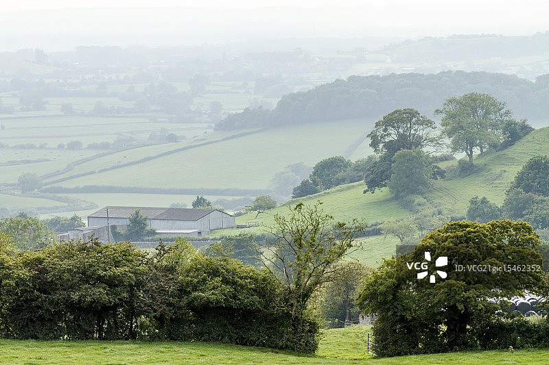 雾中的萨默塞特图片素材