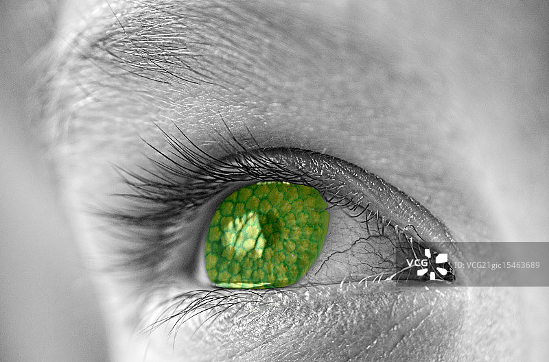 绿眼怪兽图片素材