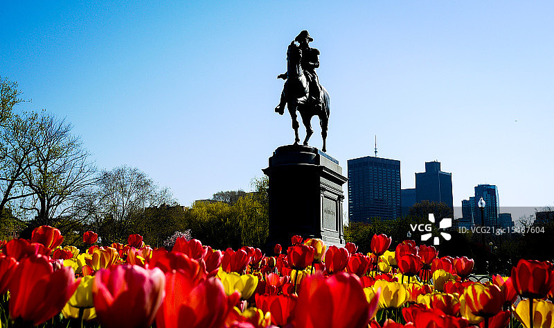 波士顿公共花园图片素材