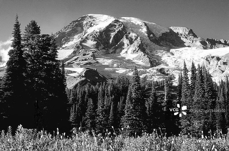 雷尼尔山傍晚黑白照图片素材