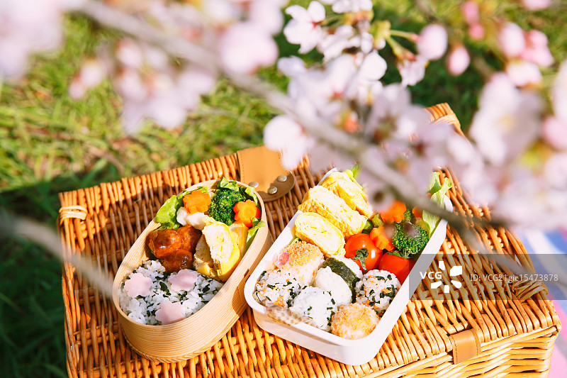 樱花下的日式便当图片素材
