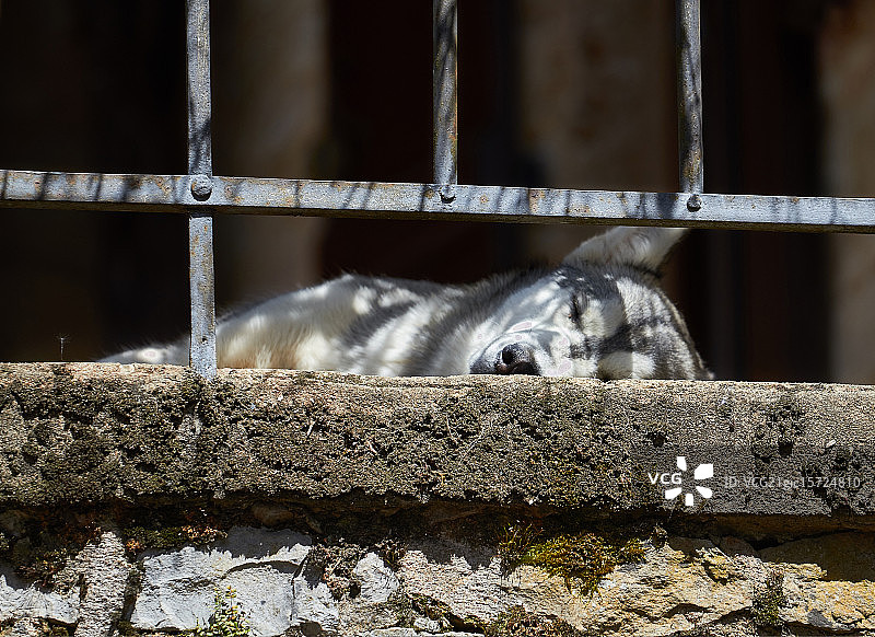 甜美的梦图片素材