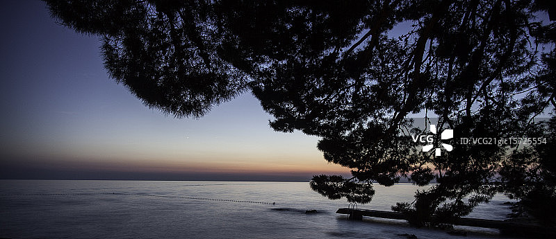 波雷奇图片素材