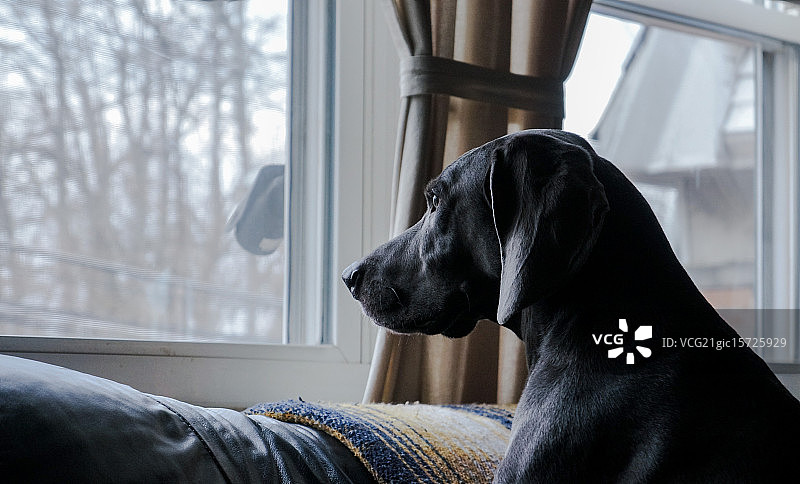 等待我的朋友图片素材
