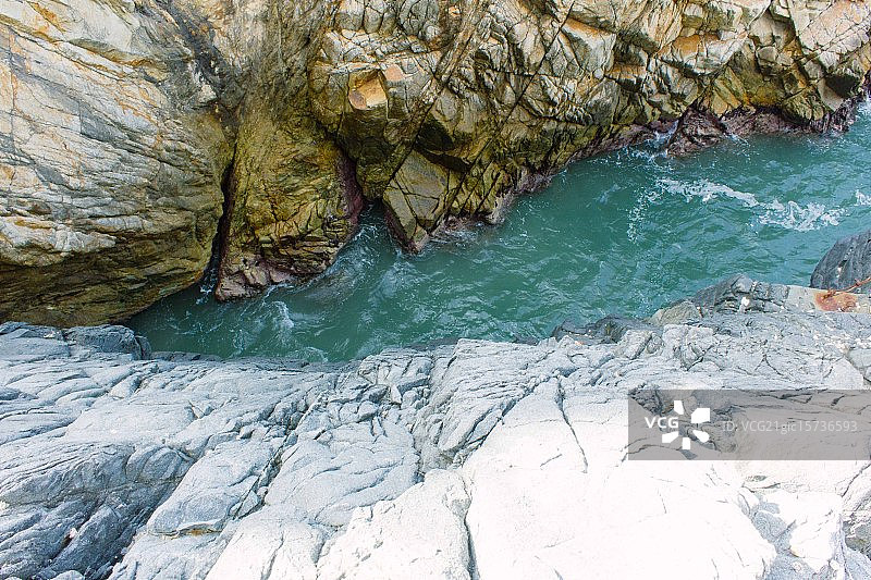 拉布拉达图片素材