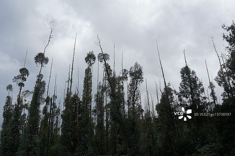 向天空图片素材