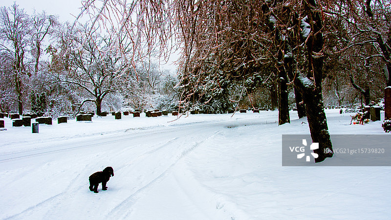 冰雪风暴图片素材