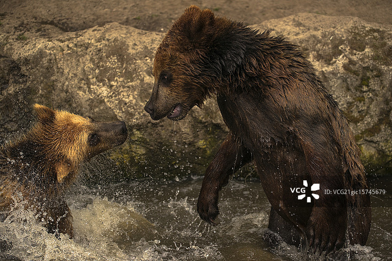 哥斯拉大战金刚II图片素材