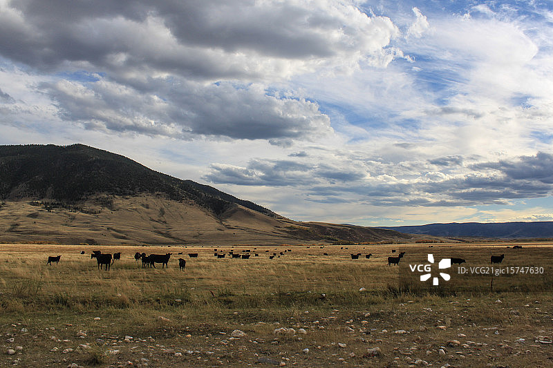 怀俄明州森特尼尔图片素材