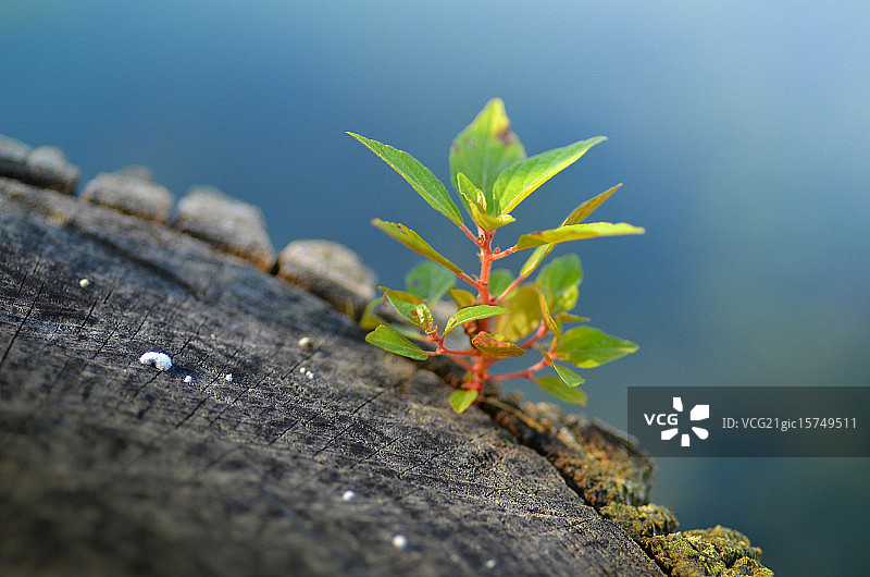 新生活图片素材