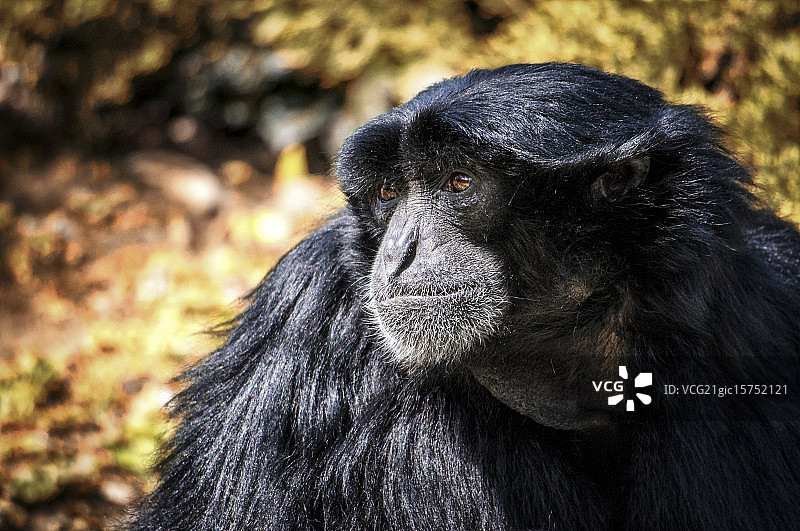 好棒的刷子图片素材