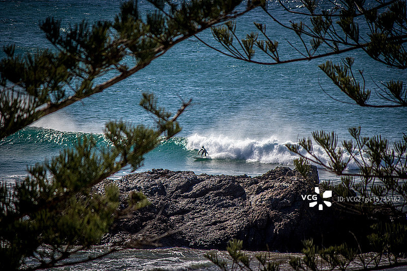 在麦夸里港冲浪图片素材