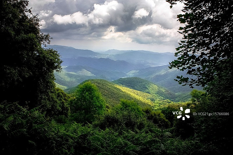 蒙塞尼图片素材