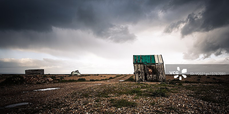珍宝蟹图片素材