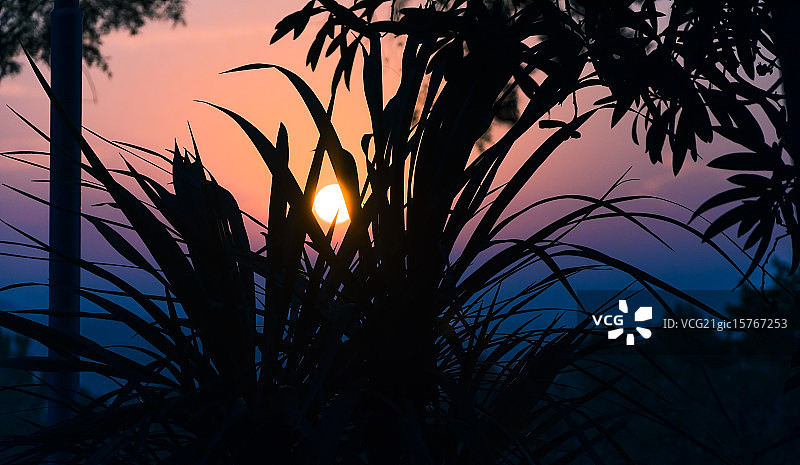 不要动…图片素材