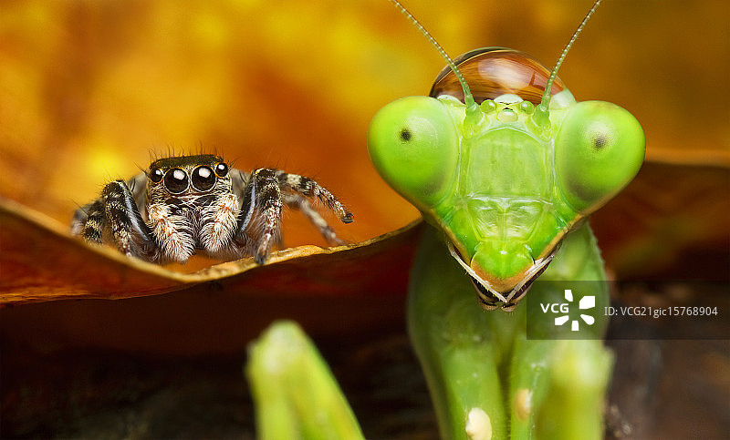 我们是朋友图片素材