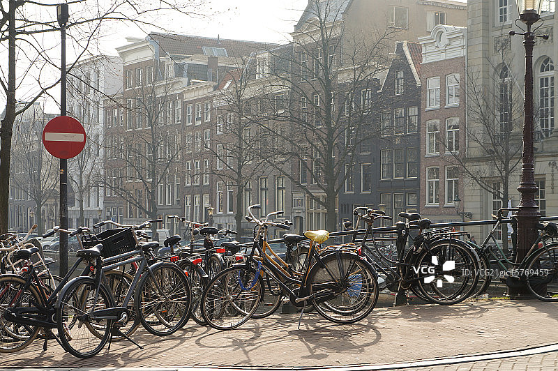 金色马鞍图片素材