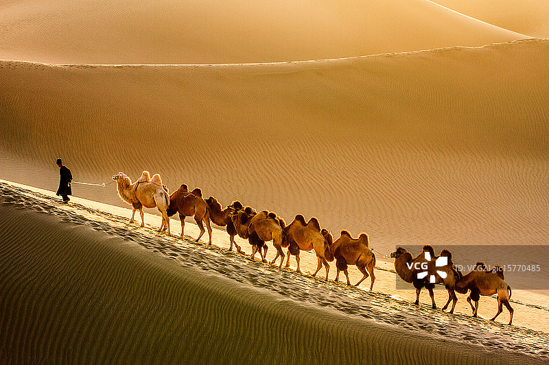 沙漠旅行者图片素材