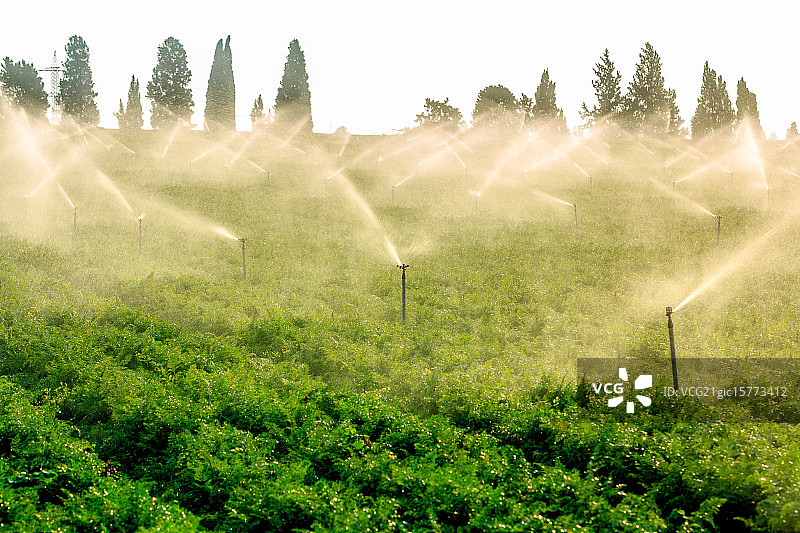 洒水器图片素材