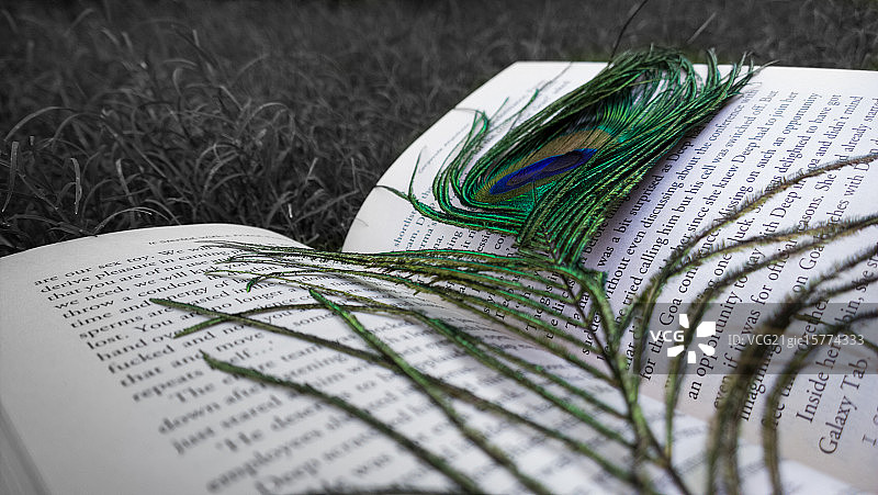 最古老的书签图片素材