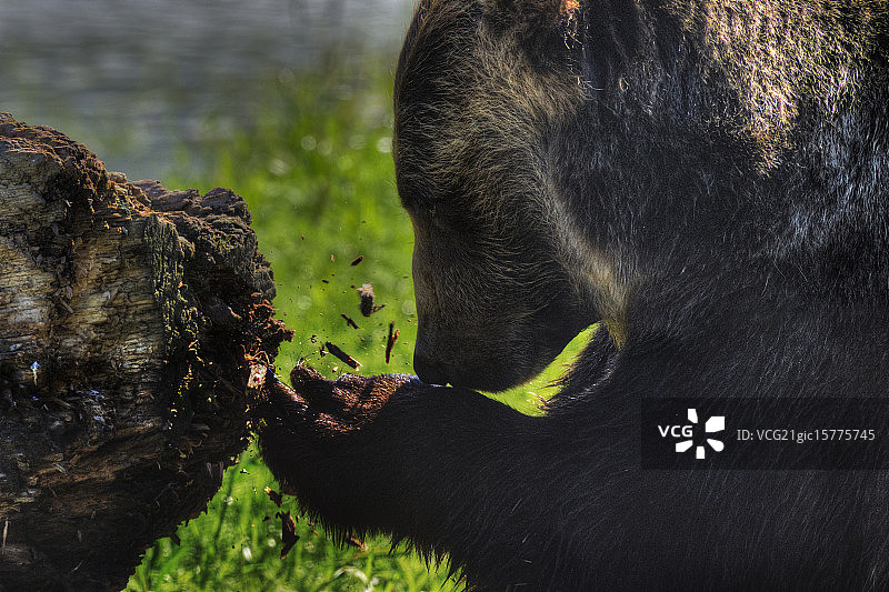 工具磨削图片素材
