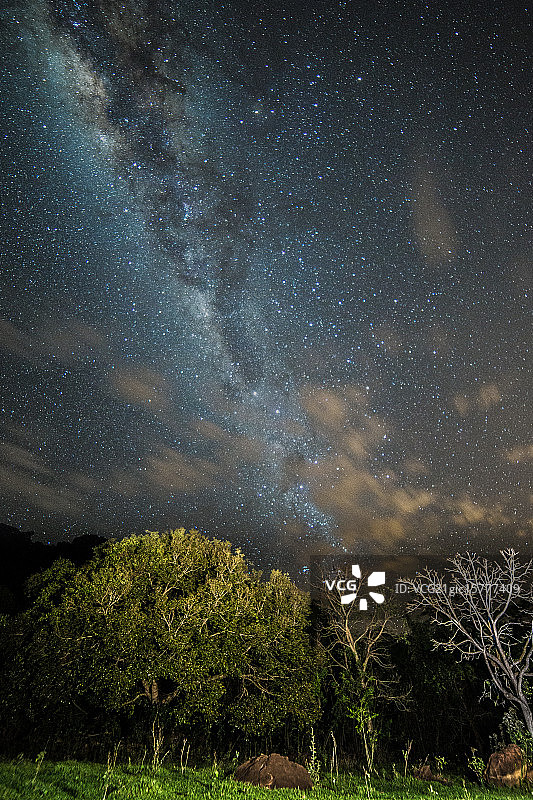 巴西潘塔纳尔湿地的银河图片素材