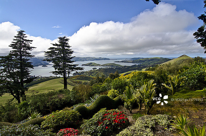 但尼丁，新西兰图片素材