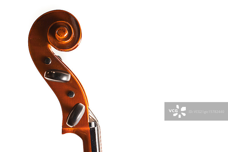 大提琴琴头图片素材