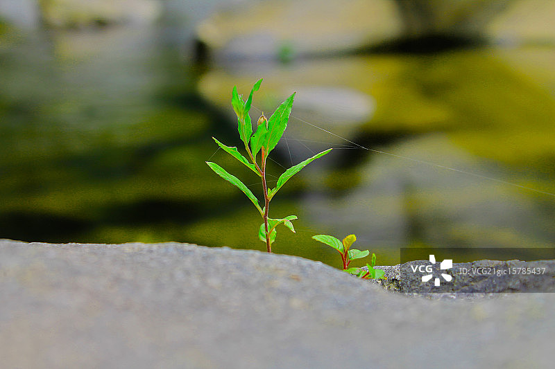 新生活图片素材