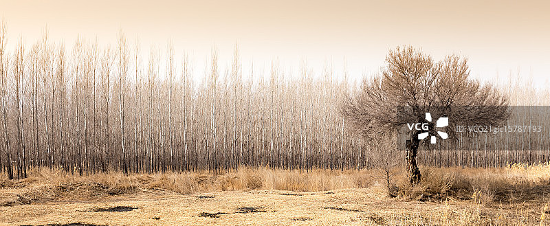 我和他们不一样图片素材