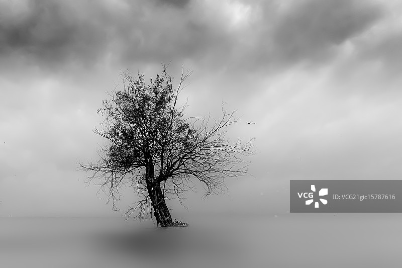 中国巢湖湿地图片素材