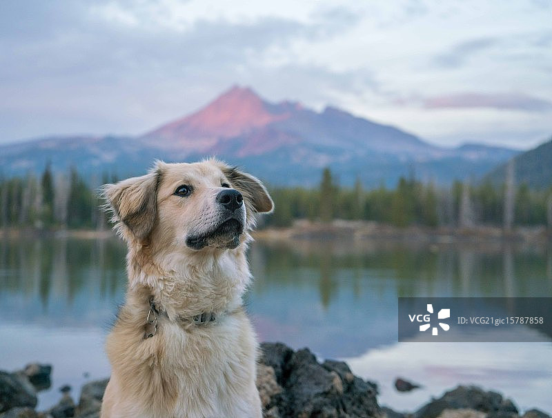 斯帕克斯湖的碧玉图片素材