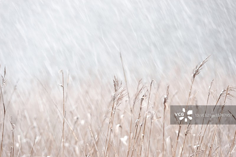 第一场雪图片素材