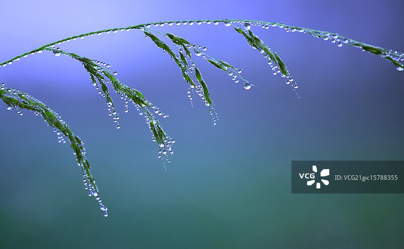 真挚的表情图片素材