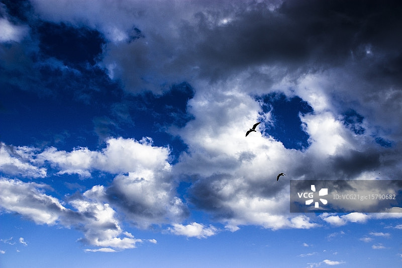 免费飞行图片素材