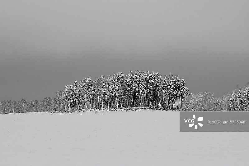 扎莫斯托奇耶，白俄罗斯图片素材