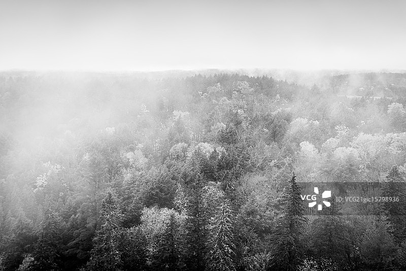 阿冈昆公园图片素材