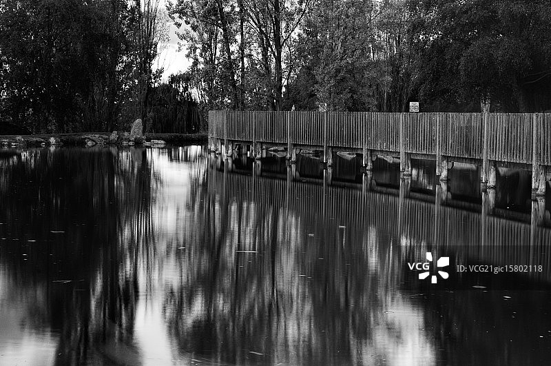 黑白植物园图片素材