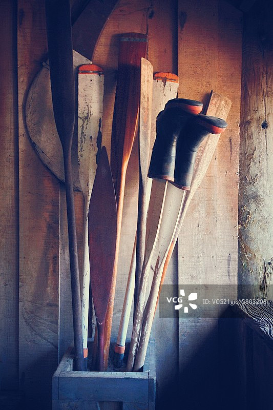 猕猴桃棚图片素材