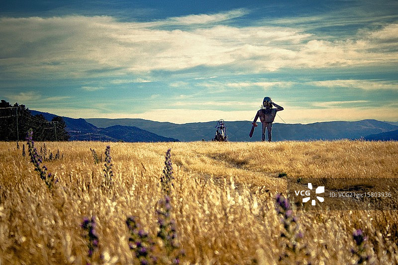 以山为背景的田野里的稻草人，新西兰南岛图片素材