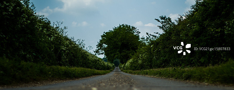 乡村小路图片素材