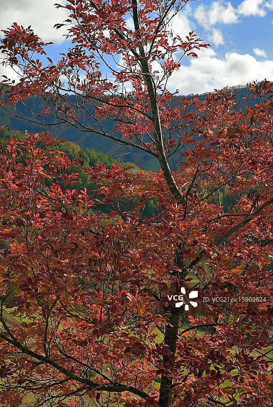 亚平宁山脉的秋天图片素材