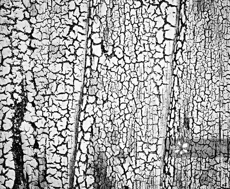 白色涂层上的黑色裂纹图片素材