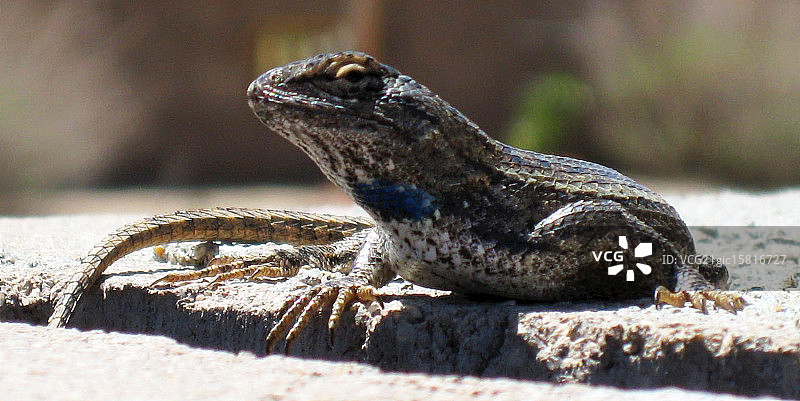 观看你，观看我图片素材