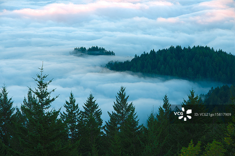 野性的呼唤图片素材