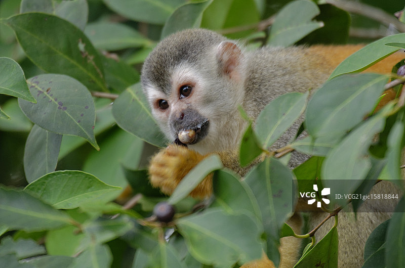 CR符号图片素材