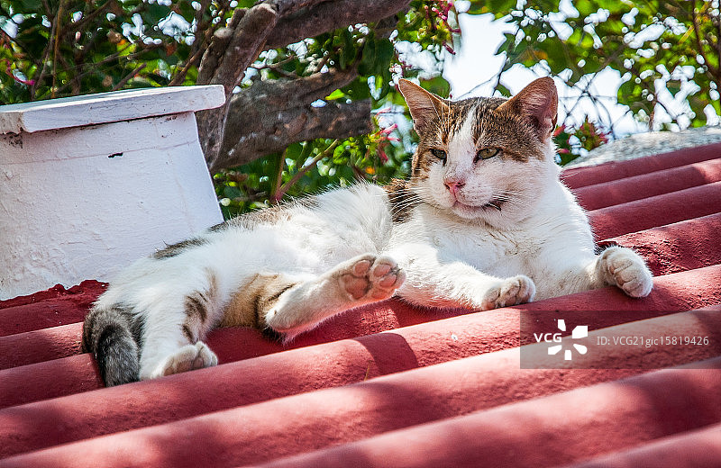 卡尔帕索斯岛图片素材
